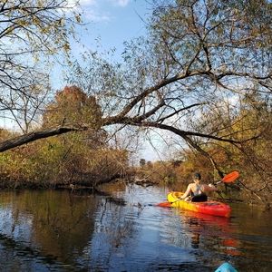 Mostly Workout Wear 🏃‍♀️